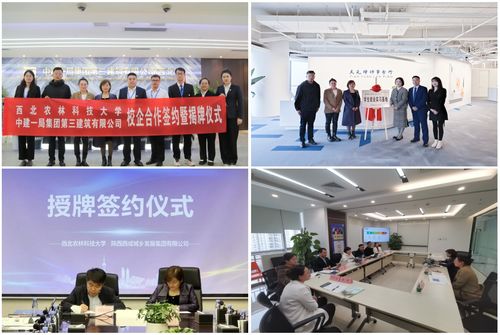 人文社會發(fā)展學院人力資源服務 融合人文關懷與專業(yè)管理的創(chuàng)新實踐